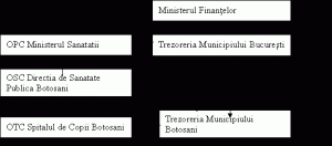 Monografie Contabila Spitalul De Copii Botosani