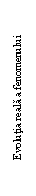 Text Box: Evolutia reala a fenomenului
