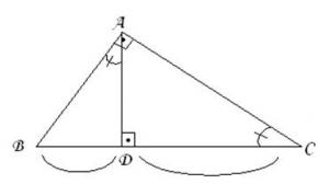 Relatii Metrice In Triunghiul Dreptunghic