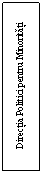Text Box: Directia Politici pentru Minoritati