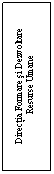 Text Box: Directia Formare si Dezvoltare
 Resurse Umane

